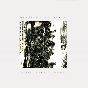 Eert Wins The Tree Gazing Race