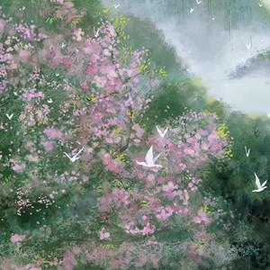 时光话（cover：赵露思）