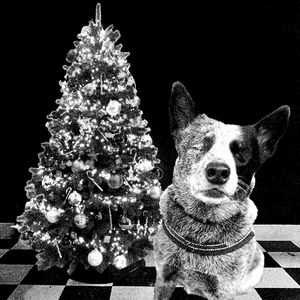 Rockin’ Around the Christmas Tree