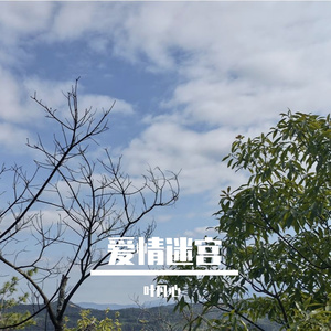 脆弱时重复你的名字