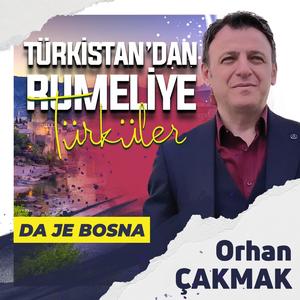DAJE BOSNA