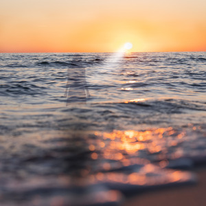 あの人 (feat. 初音ミク)