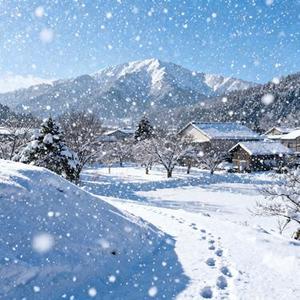 雾时光 (Cover 刘雨昕)