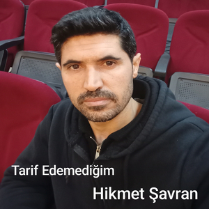 Tarif Edemediğim (şiir)
