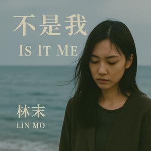 不是我