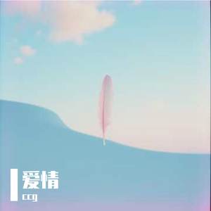 候鸟的最后一页