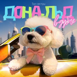 Дональд в Дубае