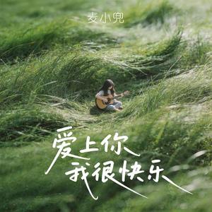 爱上你我很快乐