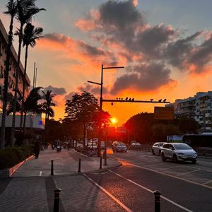 天真世界的叛徒