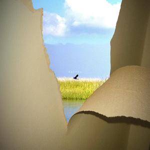 pianos in the everglades