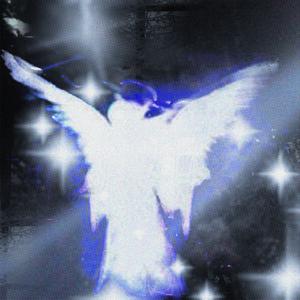 self destruction (feat. longlost)