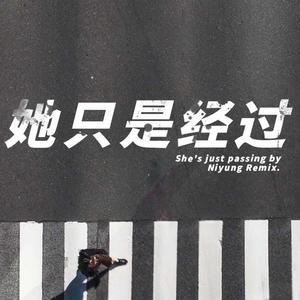 他只是经过（乃尤NiYung remix）