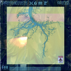 Raices