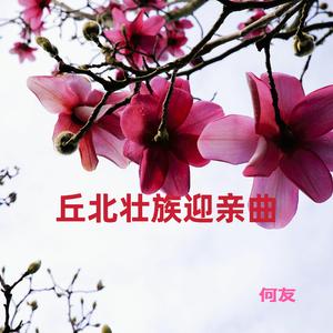 云南文山丘北壮族结婚唢呐迎亲曲（唢呐1）