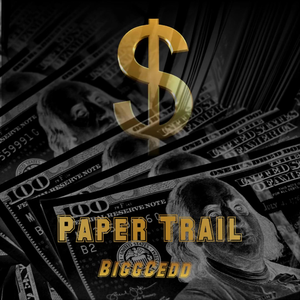 Paper Trail