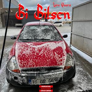 Bi Bilsen