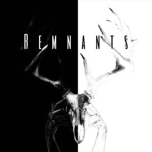 Remnants