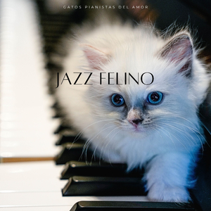 Serenata Perrrrrfecta