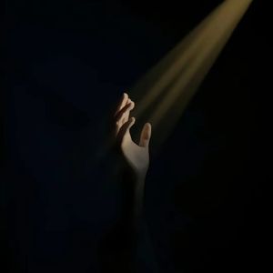 给你的爱一直很安静