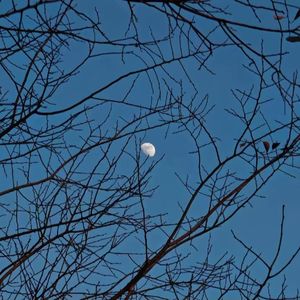 别把我心照亮 伴奏