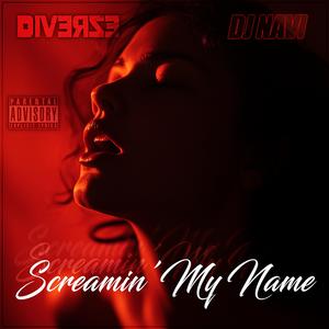 Screamin My Name (feat. DJ Navi)