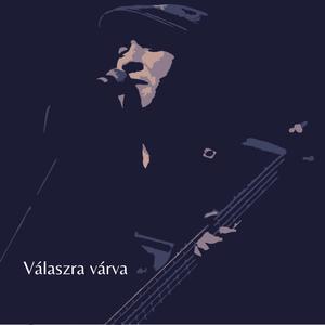 Válaszra várva