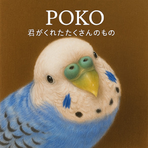 POKO 君がくれた沢山のもの