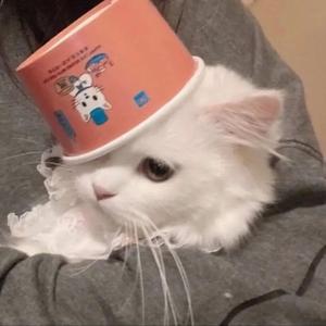 一笑倾城1648962826599_2022-04-03_131831