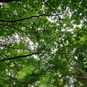 あなたがいたから