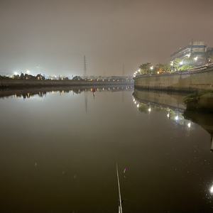 违心的谎（翻自 柠萌）