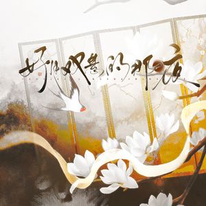 好月双悬的那一夜