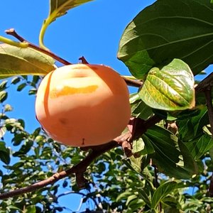 忘记比相遇更需要勇气