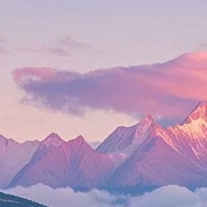 槐花时节的思念