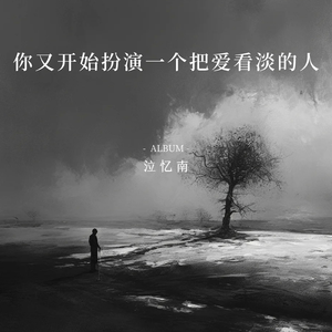 你又开始扮演一个把爱看淡的人