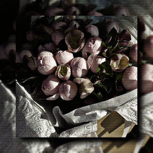 all an illusion (feat. Killing Art)