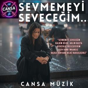 Sevmemeyi Seveceğim