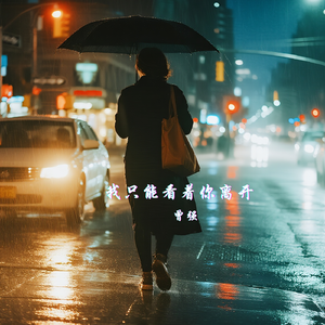 我只能看着你离开