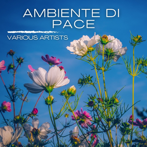 Memories of the winter