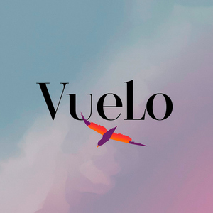 Vuelo