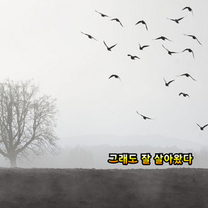 그래도 잘 살아왔다