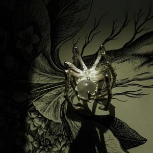 我从来没有见过