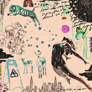 Midnight Chocolate Alarm Clock