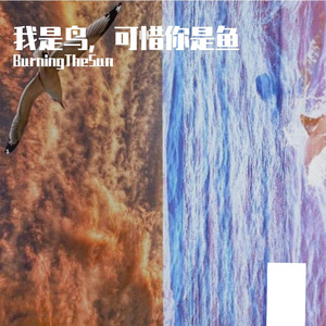 我是鸟，可惜你是鱼