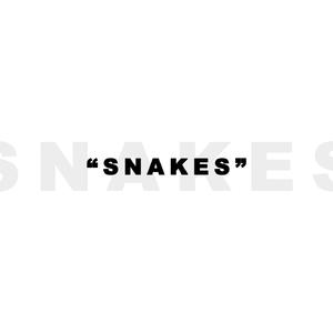 Snakes