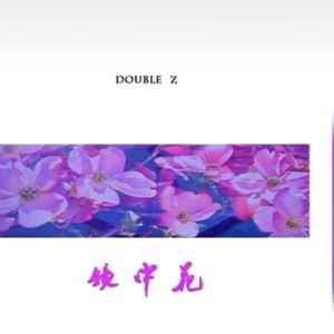 镜中花