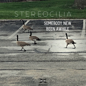 Been Awhile (Original Mix)