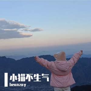 小猫不生气