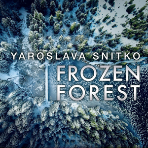 Frozen Forest