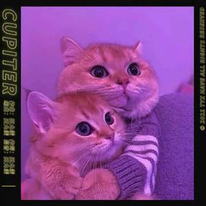 丘比特Cupid（Boi I Luv U）