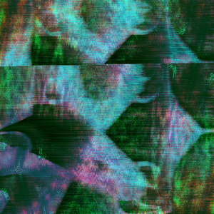 Vi